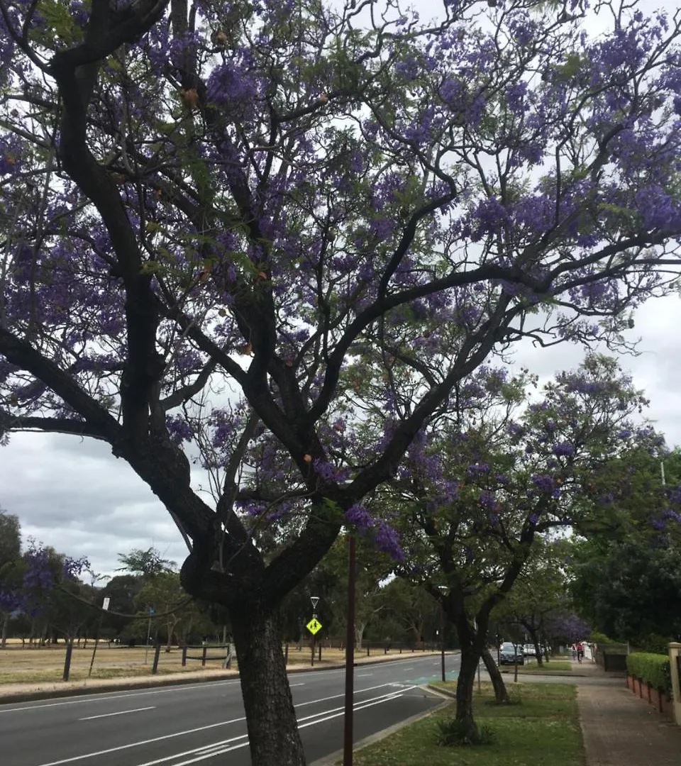 Adelaide Style Accommodation-Close To City-North Adelaide-3 Bdrm- Free Parking Apartment